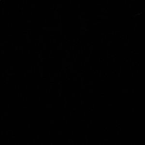 Meet your Posher, Lilly